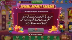 3PattiOK paisa add nahi ho raha